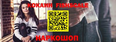 индика Камышлов