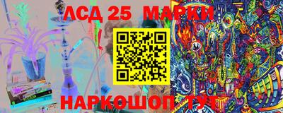 индика Камышлов
