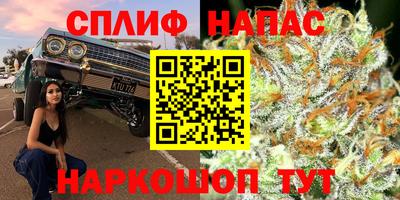 индика Камышлов