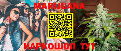 индика Камышлов
