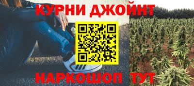 индика Камышлов