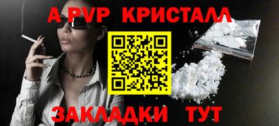 индика Камышлов