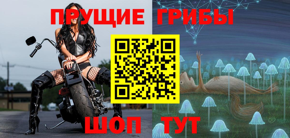 Псилоцибиновые грибы Magic Shrooms  Вход с VPN  Зеленодольск  Псилоцибиновые грибы Psilocybine cubensis 